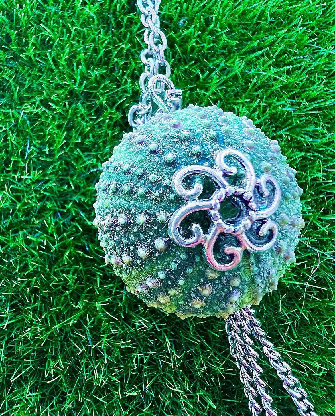 Collana riccio di mare